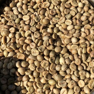 Café Robusta à prix économique, grains de plusieurs tailles, processus de nettoyage soigné, provenant du Vietnam, qualité supérieure, sacs de 60 kg, pureté de 95 à 99 %, haute qualité - Product Image 4