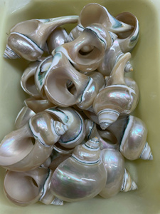 Anillo para Servilletas Hecho a Mano en Vietnam con Diseño de Caracol y Concha Marina, Porta Servilletas para Hotel, Banquete, Decoración de Mesa con Temática Oceánica - Product Image 5