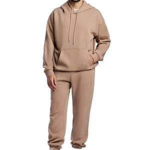 420g Heavyweight Hoodie Pullover Sweatshirt Streetwear Customized High-Quality Puff Print Manufacturer Tracksuits Vendor - Product Image 1