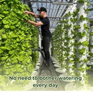 Torre de Cultivo Vertical de Alta Calidad, 50 cm, PVC, 12 Orificios, para Jardín Hidropónico en Casa, Ahorro de Espacio - Product Image 4