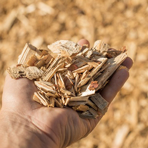 Virutas de madera para caballos / Virutas de madera de pino - Product Image 1