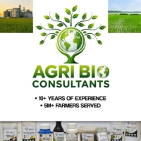 Cypermethrine 5% EC AGRI-CYPER pour l'agriculture, insecticide pour la protection des cultures