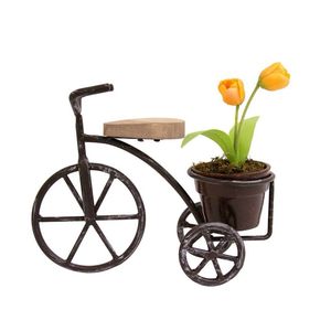 Maceta metálica con forma de bicicleta, soporte para plantas de interior y exterior, decoración para balcón y jardín, maceta multicolor con forma de bicicleta - Product Image 4