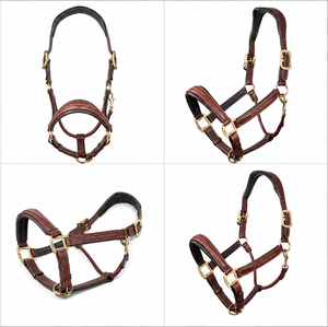 Harnais en cuir de la série Signature avec rembourrage de luxe confortable, modèle DI'LH'025 de Divine International Uttar Pradesh - Product Image 6