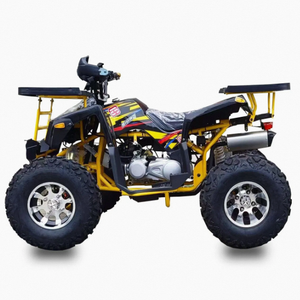 Quad Chithan DIY 200cc 4 temps pour adultes 2026, transmission automatique 2WD/4WD commutable, plastique, garantie 3 ans - Product Image 4