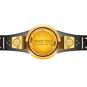 Ceinture de champion personnalisée, ceinture de titre de lutte de haute qualité, design personnalisé, décoration étoilée - Product Image 2