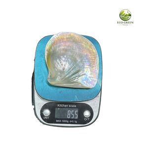 Luxury Natural Shell Plate Mother of Pearl Serving Dish for Wedding Party Table Decoration - Product Image 5
