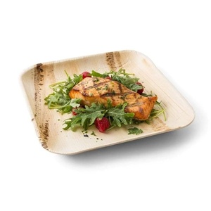 Sustainable Palm Leaf <b>Disposable</b> 10 Inches Square <b>Plates</b> Modern Eco Design for Professional Catering for Hotels Parties and Food - Product Image 1