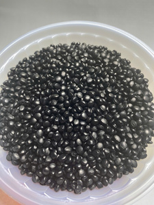Masterbatch Premium EVOPLAS VIETNAM à 50 % de carbone noir, haute brillance, résistant aux UV et aux intempéries, qualité moulage par injection - Product Image 3