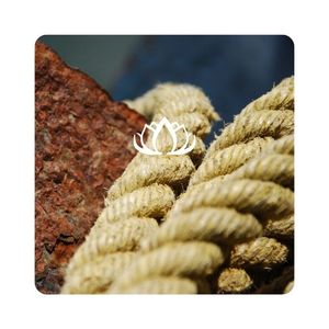 [VENTE CHAUDE] |   Corde en fibre de coco torsadée pour emballage industriel, manutention de marchandises et usage artisanal, provenant du Vietnam - Product Image 1