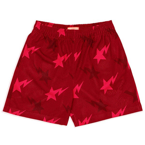 Men's Purple Swim Trunks Elastic Waist Breathable Woven Polyester Quick Dry Eco-Friendly Drawstring Closure Shorts - Product Image 3