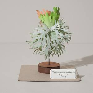 2025-08 personalizable DIY 3D rompecabezas de papel miniatura modelo de papel Kit fantástico para siempre verde casa de muñecas artesanías de papel - Product Image 1