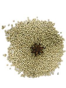 Pimienta Blanca de Vietnam Agrikim, Alta Calidad, Venta al por Mayor, Sabor Fuerte Original, Contacto +84 35 254 2206 - Product Image 2