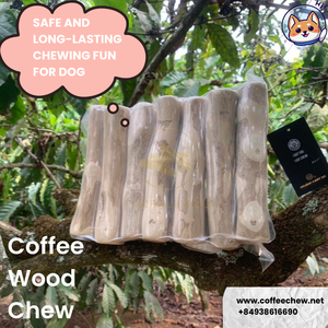 100% jouet à mâcher pour chien en bois de café naturel pour nettoyer les dents et jouer Contact durable et respectueux des animaux de compagnie Sara à 84797415298 - Product Image 3