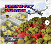 Premium Biologische Thaise Monthong Durian Gouden 100% Zuivere Natuurlijk Zoete Vruchtvlees Gekochte Opslag 500g Groothandelsverpakking