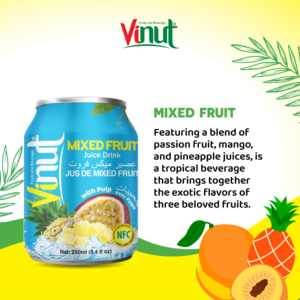 เครื่องดื่มผสมน้ำผลไม้เขตร้อน250มล. ผลิตจากเยื่อไม้ผลิตจากโรงงานเวียดนามขายดีน้ำตาล ODM พร้อมส่ง - Product Image 3