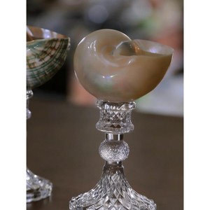 Las copas de vino de concha marina y vidrio más demandadas, ideales para presentaciones creativas de bebidas. - Product Image 3