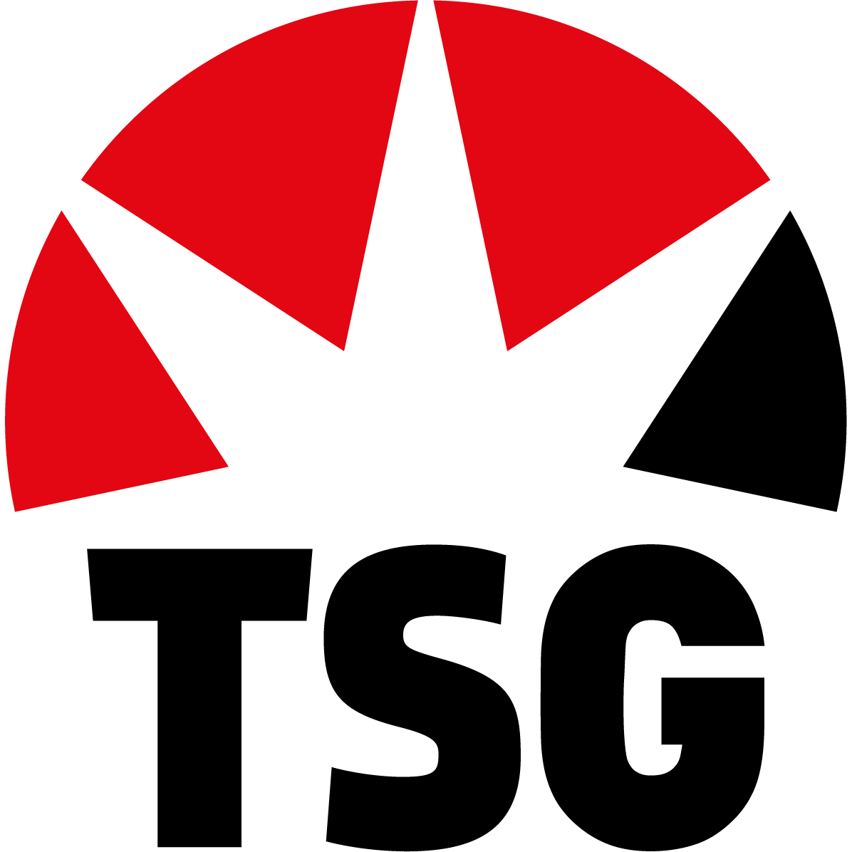 Thüringer Sprenggesellschaft mbH logo