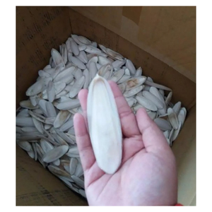 Os de Seiche Naturel Séché de Haute Qualité pour Cage à Oiseaux – Produit à Mâcher pour Perroquets, Budgerigars, Canaris et Pinsons - Product Image 1