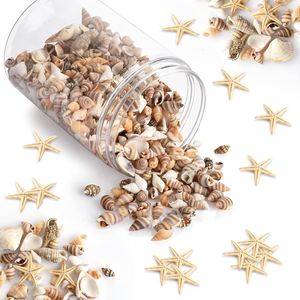 เปลือกหอยและเปลือกหอยทากคุณภาพสูงในราคาที่แข่งขันได้จากเวียดนาม - Product Image 5