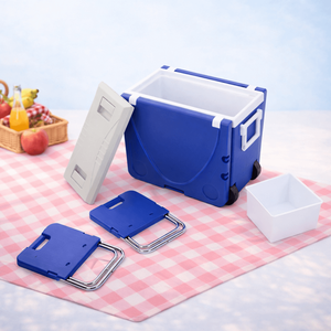 Caja Refrigeradora Aislada con Logotipo Personalizado, Espuma de PU, Impresión en Serigrafía L 15, para Regalo Corporativo, Caja de Regalo para Té, Artículos de Viaje, Bajo MOQ - Product Image 2