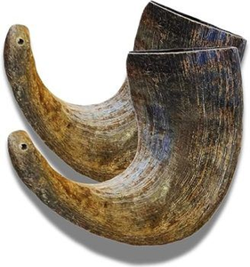 Juguete Masticable de Cuerno de Búfalo para Perros, Ecológico, con Cuerda Incluida, Duradero, para la Salud y el Placer de las Mascotas - Product Image 3