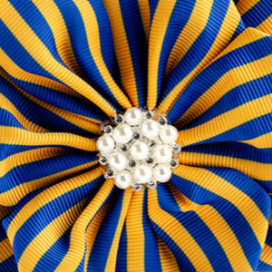 Broche à revers pied-de-poule Sigma Gamma Rho, bleu et or, accessoire de mode, bijou élégant, badge décoratif, personnalisable, vente en gros, OEM - Product Image 6