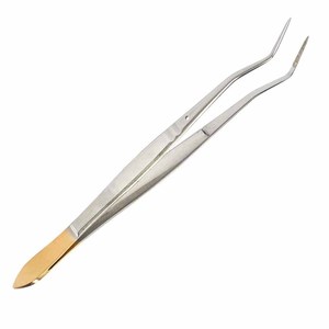Pinzas quirúrgicas con mango dorado de acero inoxidable, anguladas, para algodón, pinzas de sujeción, instrumentos de precisión para implantes dentales y tejidos. - Product Image 3