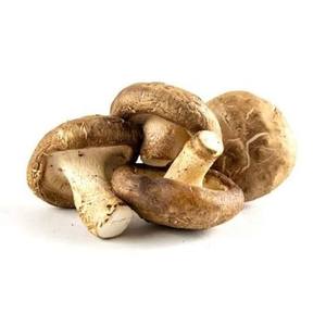 Hongos Shiitake Silvestres de Alta Calidad, Secados, a Granel, Ingrediente Natural y Saludable para Alimentos - Product Image 2