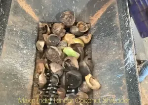 Trituradora de Coco Tierno de Doble Eje Eléctrica Semiautomática de la Mejor Calidad, Máquina Trituradora Orgánica - Product Image 2