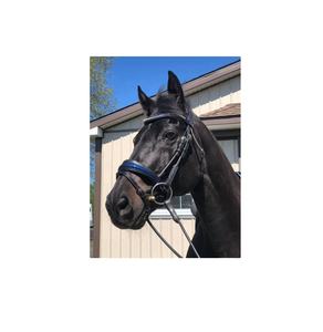 Bride de cheval en cuir indien de haute qualité Rembourrage de vache souple avec boucles en cuir verni SS - Product Image 1