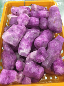 มันม่วงเผือก – มันเผือกพรีเมียมสำหรับชานมไข่มุกและของหวาน |   ผู้ส่งออกเวียดนาม // คุณทอม - Product Image 3