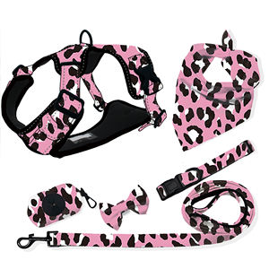 キューバリンクカラーとすべての豪華なセットフレンチブルドッグベルベット猫プライベートラベル犬用ハーネスを1つの犬の鎖に - Product Image 1