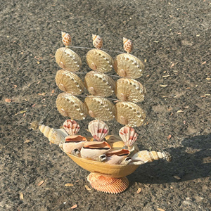 Natural Seashell Craft Supply for Creative Art Projects - Product Image 5