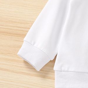 Conjunto de Sudadera y Pantalones Deportivos de Felpa de Algodón para Niños, Ropa de Invierno, Venta al por Mayor de Fábrica, Conjunto Informal de Sudadera y Pantalones para Niños - Product Image 5