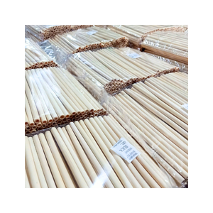 Pajitas de Bambú de 10 Pulgadas, Clásicas, Biodegradables, Ecológicas, Reutilizables, con Cepillo de Limpieza, Juego Desechable, Venta al Por Mayor - Product Image 1
