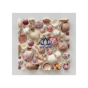 MEJOR VENDIDO Artesanía Sostenible con Conchas Marinas Naturales |   Artesanías de Conchas Hechas a Mano de Alta Calidad - Product Image 1