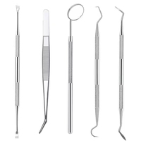 Dental Examination Tools Kit Stainless Steel Instruments for Dentist Office and Clinical Procedure Dental Instruments