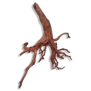 Decoración Ecológica para Acuarios, Terrarios y Vivarios, de Madera de Araña Dorada, Decoración Ecológica para Acuarios - Product Image 2