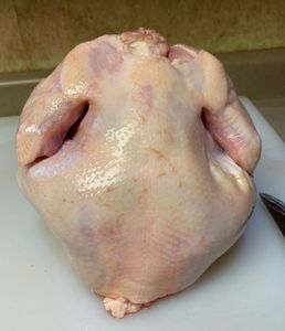 อกไก่แช่แข็งบราซิล ผู้จัดจำหน่ายอกไก่แช่แข็งทั้งตัวที่ดีที่สุดจากบราซิล ไก่แช่แข็งทั้งตัวสำหรับส่งออก - Product Image 4