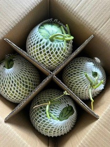 แตงโมไร้เมล็ดสดใหม่จากเวียดนาม – เนื้อแดงหวาน ตัวเลือกที่ดีที่สุดสำหรับผู้นำเข้าและผู้จัดจำหน่าย - Product Image 2