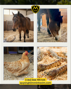 Sciure de bois KMI du Vietnam pour litière animale, élevage et volailles, à prix compétitif - Product Image 2