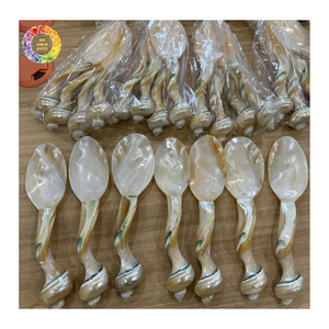 ช้อนเปลือกหอยทำมือ ของขวัญรักษ์โลกจากธรรมชาติ ผู้จัดจำหน่าย ช้อนด้ามยาวเคลือบเงาสีเงินจากเปลือกหอยมุก ขายส่ง - Product Image 1