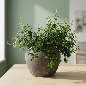 Pot de rangement vintage en poterie artisanale, style rustique en terre cuite, pour la décoration intérieure de cuisine de ferme - Product Image 6