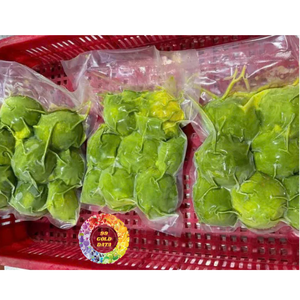 อะโวคาโดเวียดนาม ดักลัก แช่แข็งแบบ IQF หั่นเป็นชิ้น บรรจุภัณฑ์แบบขายส่ง 10 กก. อายุการเก็บรักษา 24 เดือน ตัวเลือกที่ดีที่สุด - Product Image 1