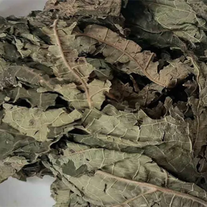 Feuilles de papaye séchées de qualité supérieure, 100% thé naturel pur coupé dans les fermes du Vietnam, papaye séchée pour une boisson apaisante à base de plantes - Product Image 4