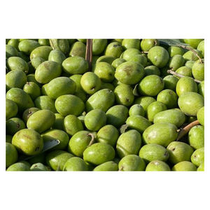 Aceitunas Verdes Frescas al por Mayor, Estilo Tropical, Color Natural, Sin Núcleo, para Mayoristas y Distribuidores de Alimentos - Product Image 4