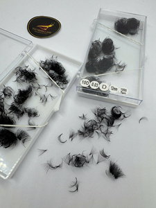10D 0.05mm D Premade Fans Eyelash Extensions Soft <b>Volume</b> Natural Long Synthetic Hair CC/DD/M/L Curl Dark Thin Pointy - Product Image 5