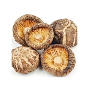 เห็ดหอมแห้งจากเวียดนาม - Product Image 1