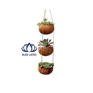 Meilleures ventes : Pot en coquille de noix de coco naturelle |   Jardinière écologique de style ferme pour potager surélevé et décoration de jardin - Product Image 1